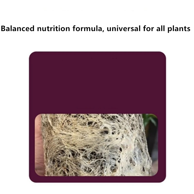 2bags Rooting Hormone Powder U - Rooting Hormone Powder 리뷰 및 가격