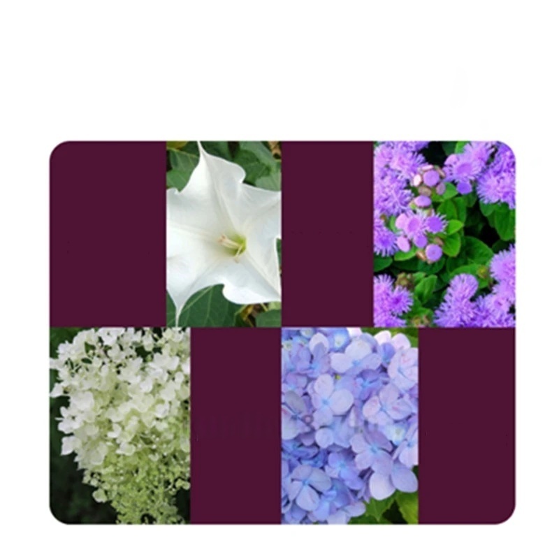 2bags Rooting Hormone Powder U - Rooting Hormone Powder 리뷰 및 가격