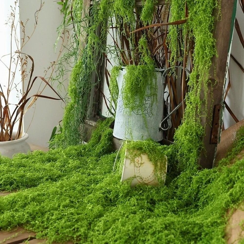 DIY Artificial Grass Rug Durab - Sphagnum Moss Dry 리뷰 및 가격