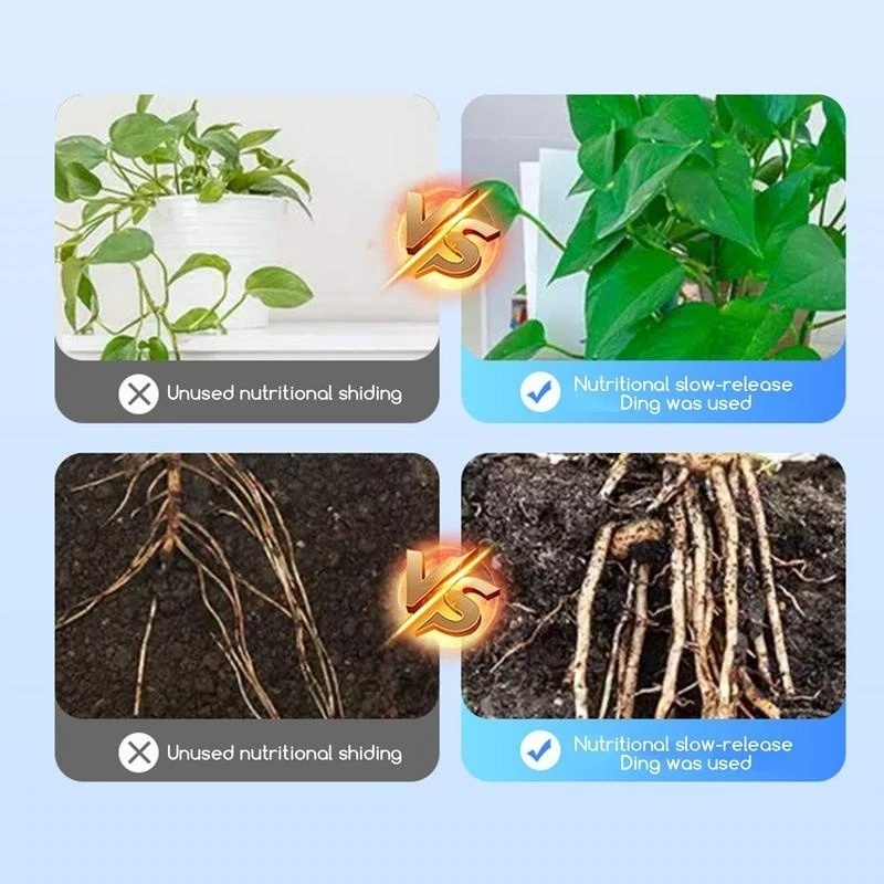 500g High-strength Rooting Hor - Rooting Hormone Powder 리뷰 및 가격
