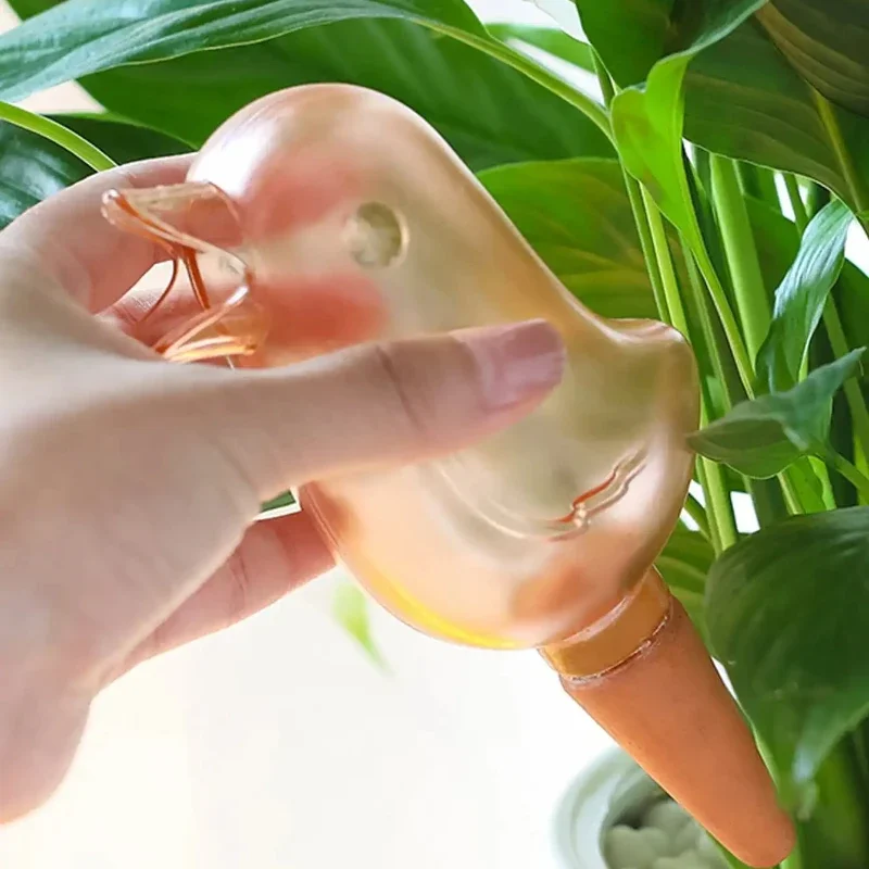 High quality automatic flower  - Self Watering Insert 리뷰 및 가격