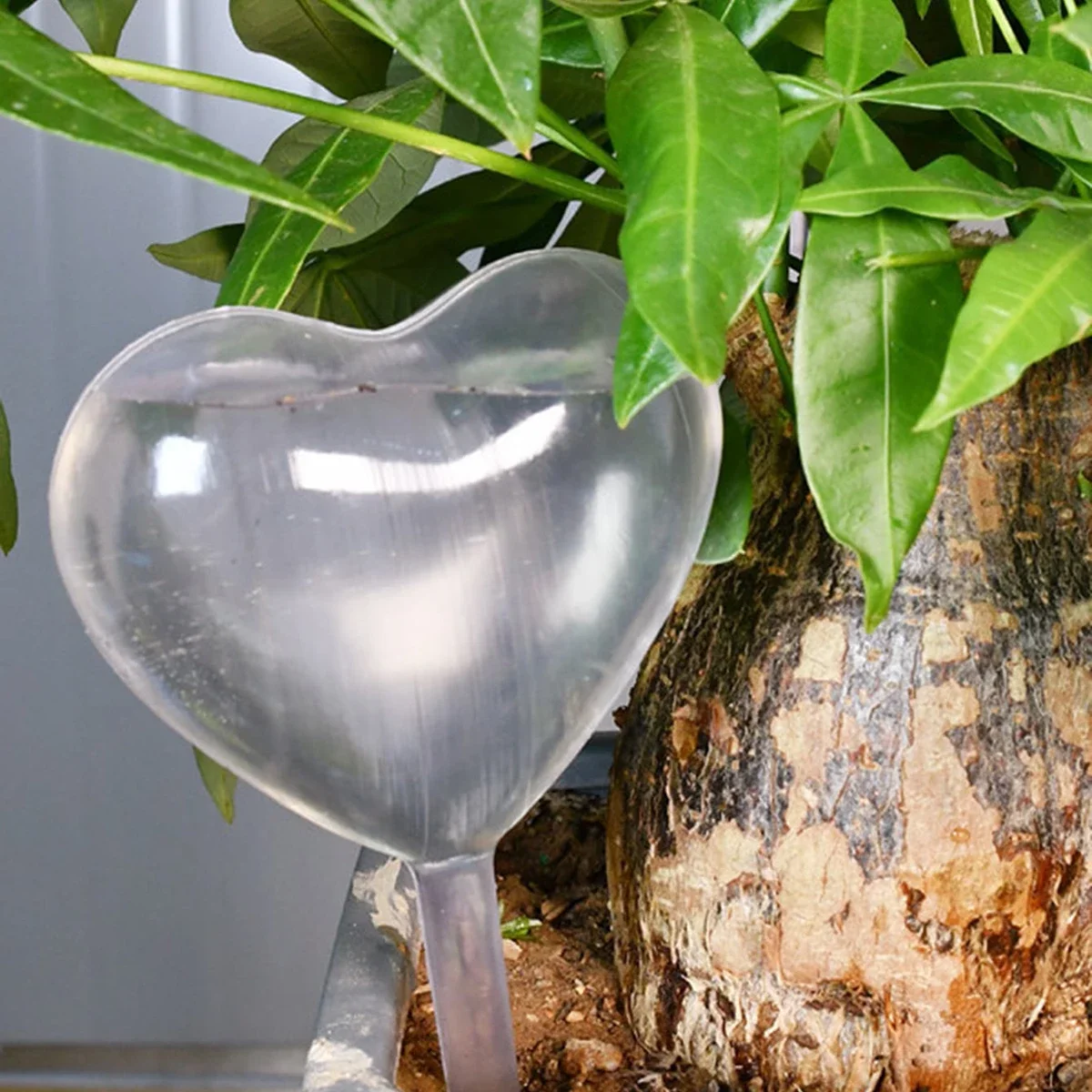 1pc Automatic Plant Watering B - Self Watering Insert 리뷰 및 가격