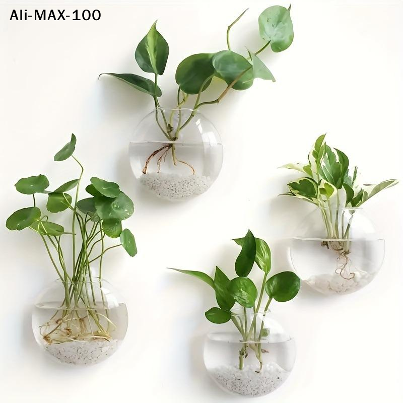 【MA3】Wall Hanging Glass Plant  - Propagation Station Vase 리뷰 및 가격