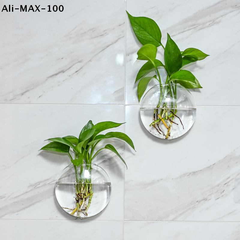 【MA3】Wall Hanging Glass Plant  - Propagation Station Vase 리뷰 및 가격