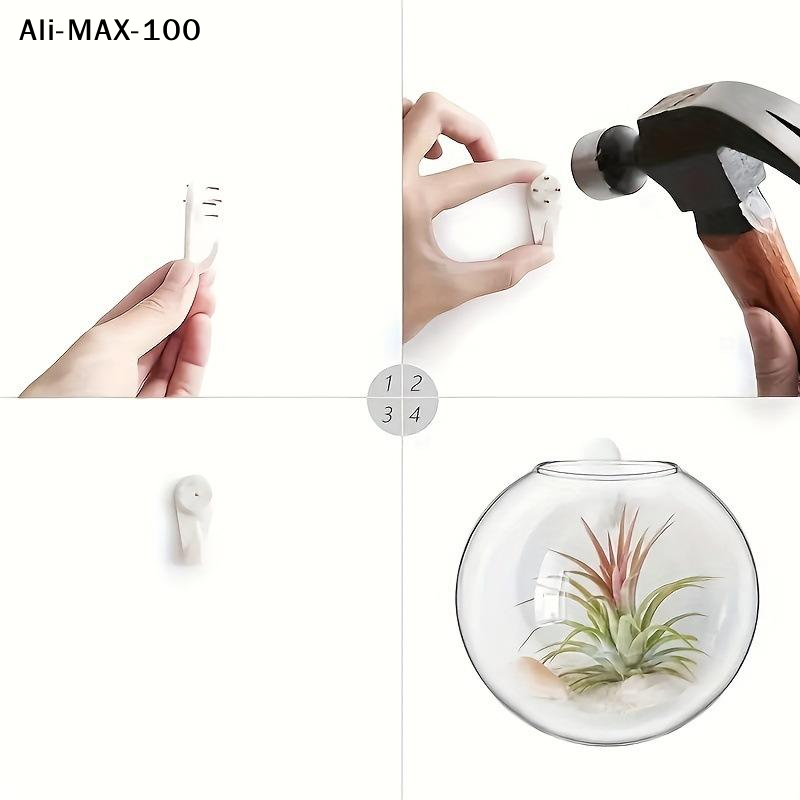 【MA3】Wall Hanging Glass Plant  - Propagation Station Vase 리뷰 및 가격