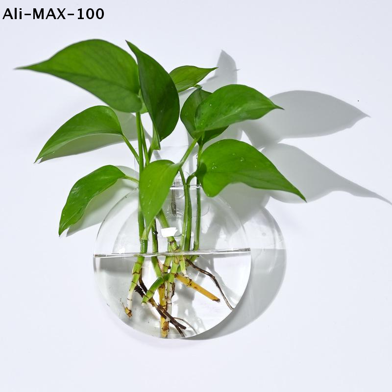 【MA3】Wall Hanging Glass Plant  - Propagation Station Vase 리뷰 및 가격
