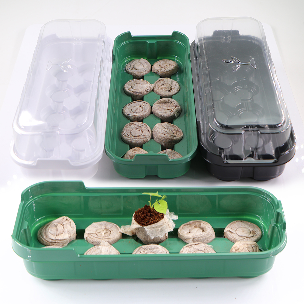 10 Cells Seedling Trays Germin - Peat Pellet Tray 리뷰 및 가격