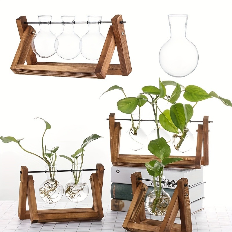 Tabletop Glass Planter Propaga - Propagation Station Vase 리뷰 및 가격