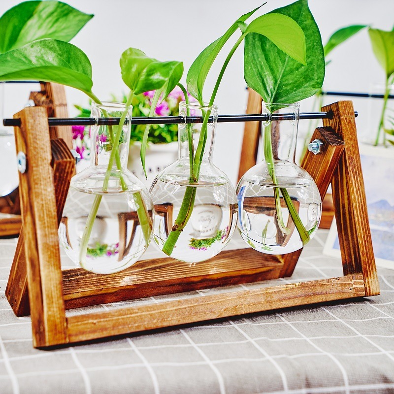 Tabletop Glass Planter Propaga - Propagation Station Vase 리뷰 및 가격