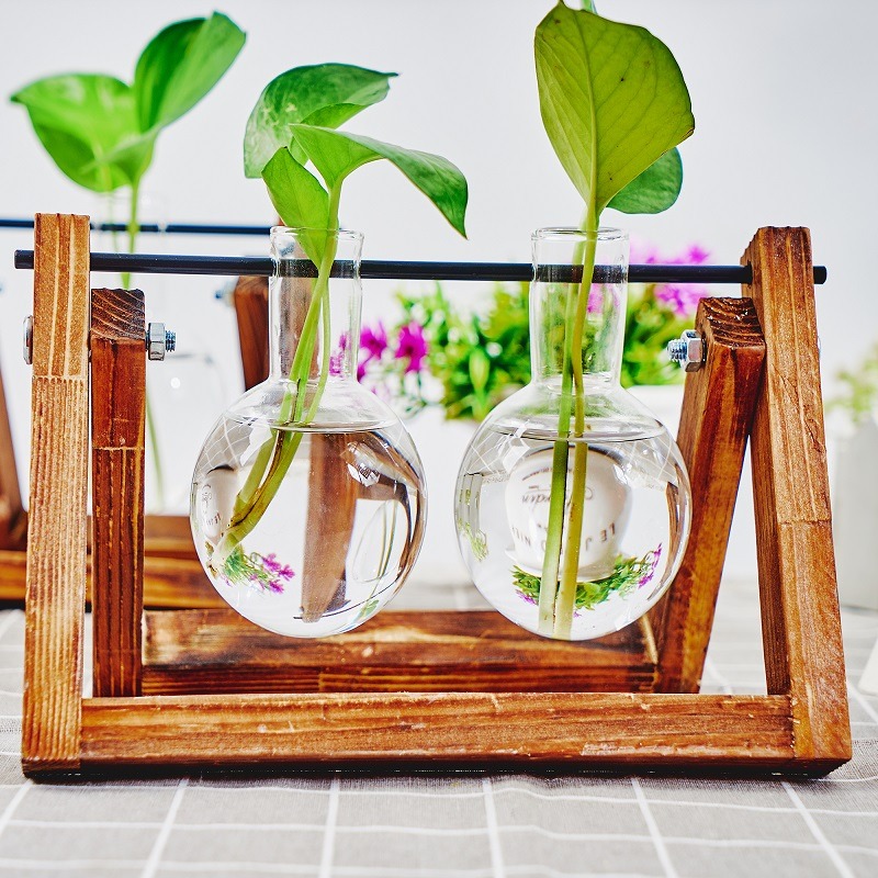 Tabletop Glass Planter Propaga - Propagation Station Vase 리뷰 및 가격