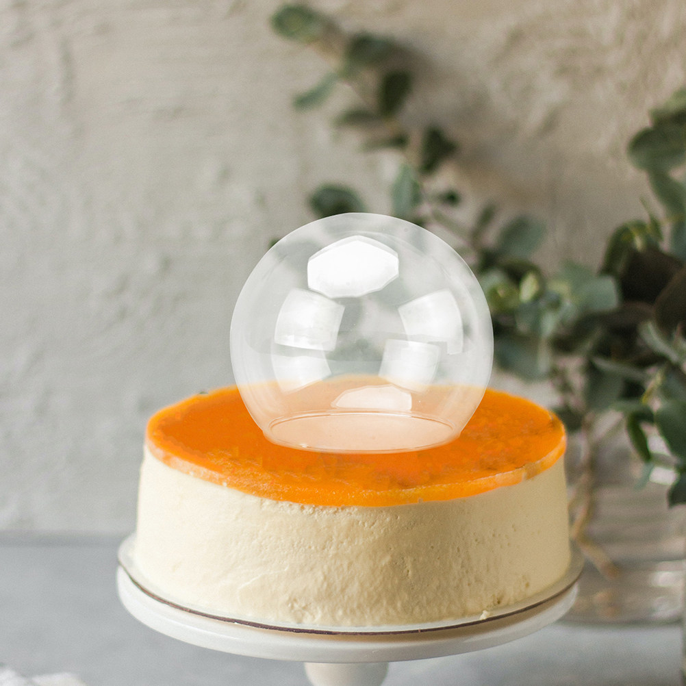 2Pcs Clear Glass Dome Display  - Plastic Dome Clear 리뷰 및 가격