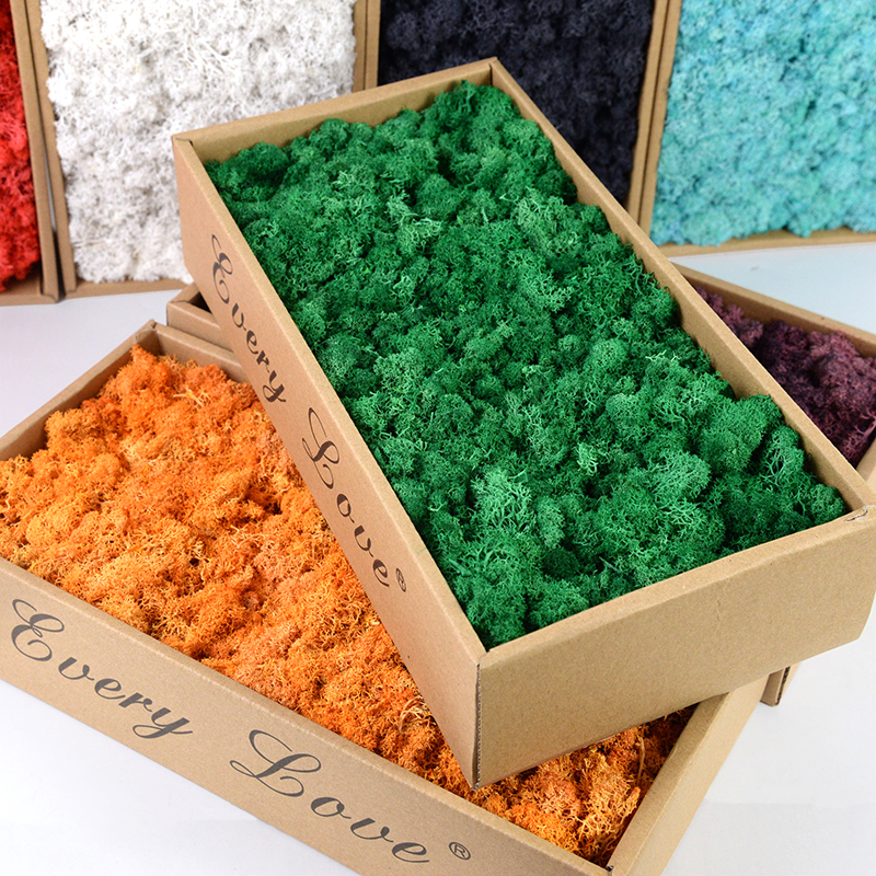 40/20g Artificial Moss Grass G - Sphagnum Moss Dry 리뷰 및 가격