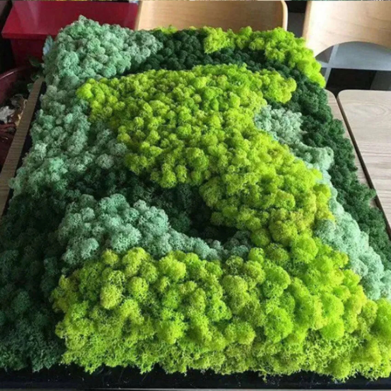 40/20g Artificial Moss Grass G - Sphagnum Moss Dry 리뷰 및 가격