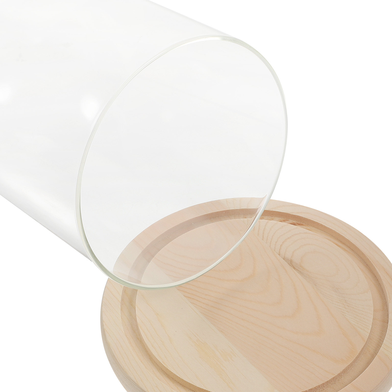 Glass Dome Display Case with B - Plastic Dome Clear 리뷰 및 가격