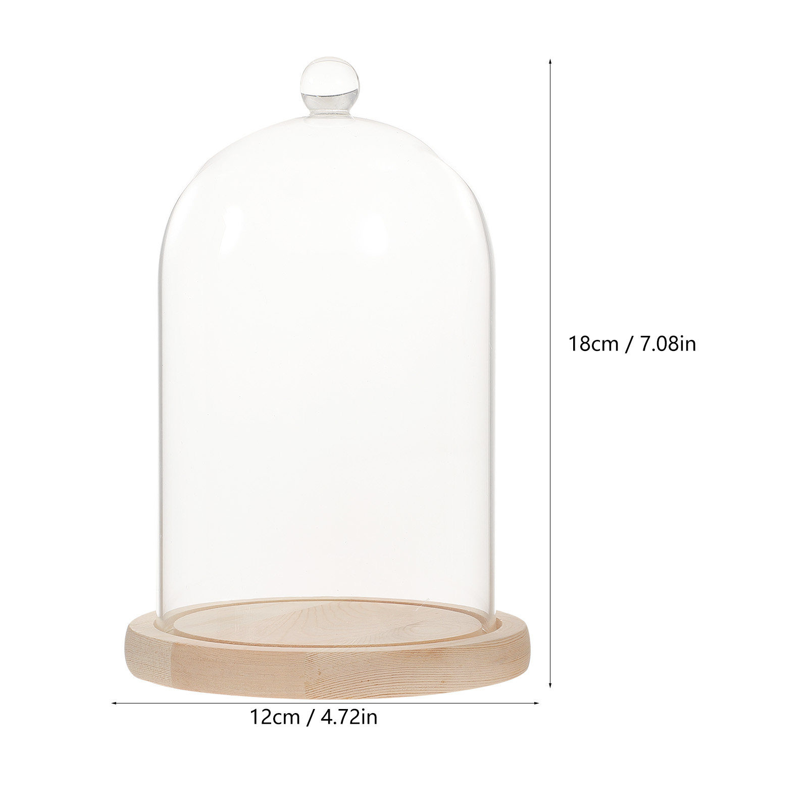 Glass Dome Display Case with B - Plastic Dome Clear 리뷰 및 가격