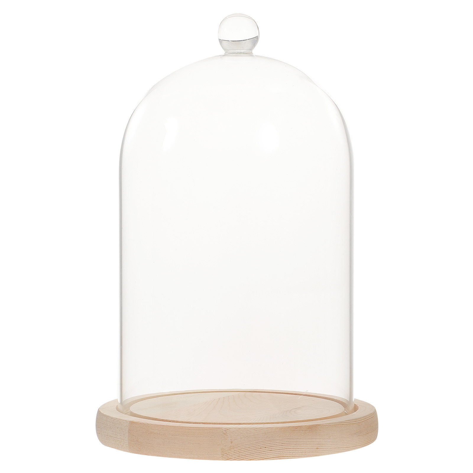 Glass Dome Display Case with B - Plastic Dome Clear 리뷰 및 가격
