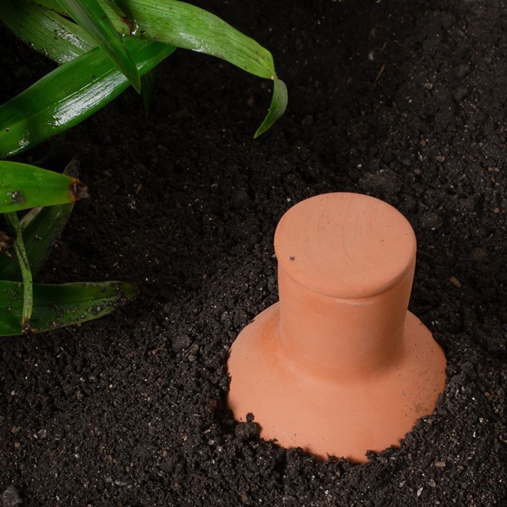 4Pcs Terracotta Material Autom - Self Watering Insert 리뷰 및 가격